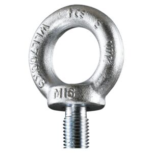 Lifting Eye Bolt DIN 580
