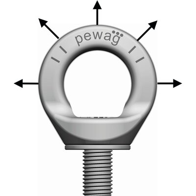 Stainless Lifting Eye Pewag PLGWI
