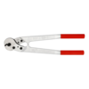 Kapsax