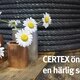 Certex is open during the summer